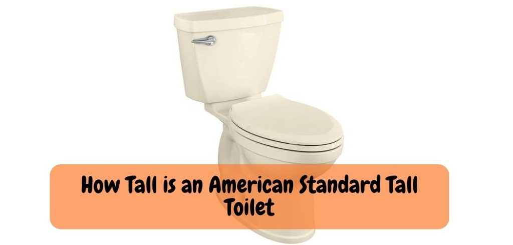 How Tall is an American Standard Tall Toilet