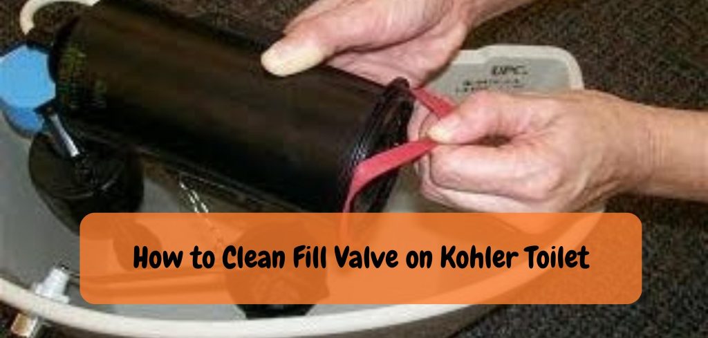 How to Clean Fill Valve on Kohler Toilet
