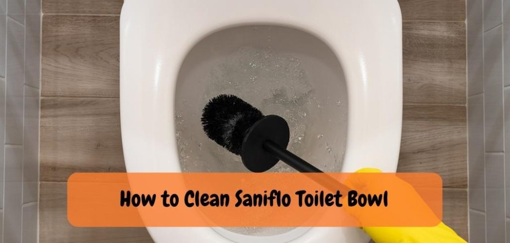 How to Clean Saniflo Toilet Bowl