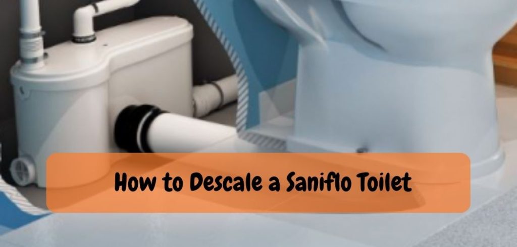 How to Descale a Saniflo Toilet