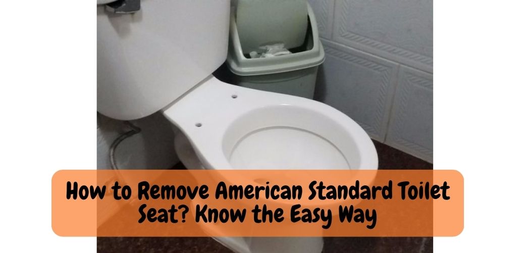 How to Remove American Standard Toilet Seat Know the Easy Way
