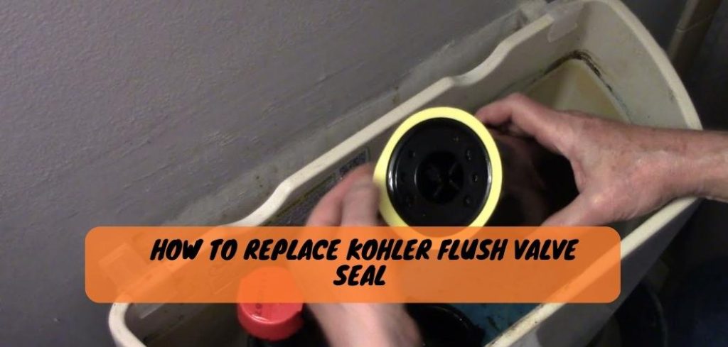 How to Replace Kohler Flush Valve Seal