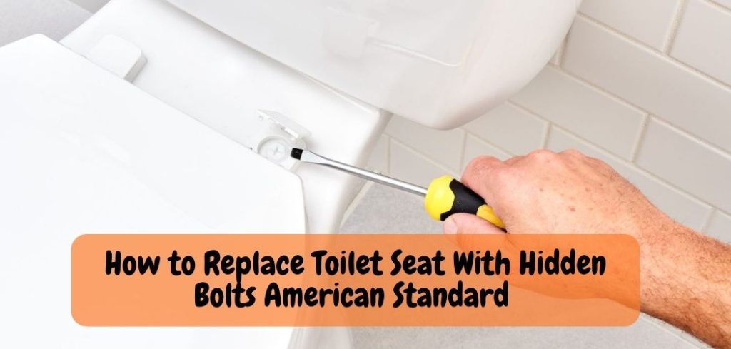 How to Replace Toilet Seat With Hidden Bolts American Standard 1