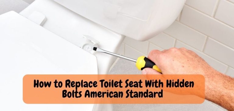 How to Remove American Standard Toilet Seat? Know the Easy Way!