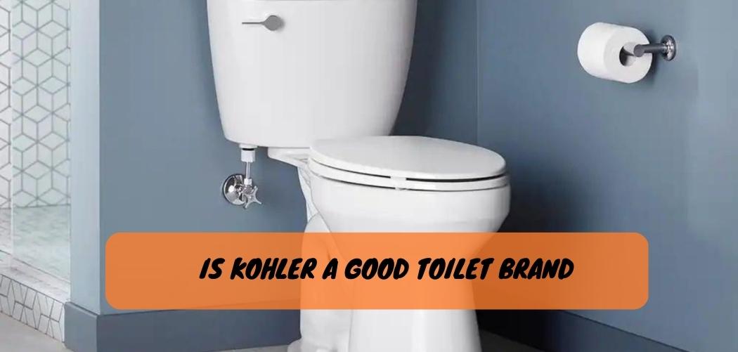 Is Kohler a Good Toilet Brand 2