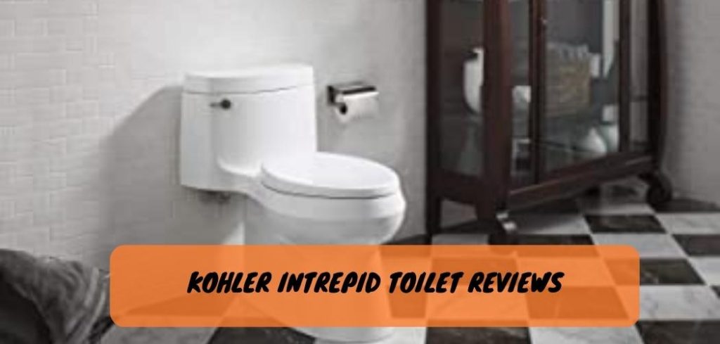 Kohler Intrepid Toilet Reviews