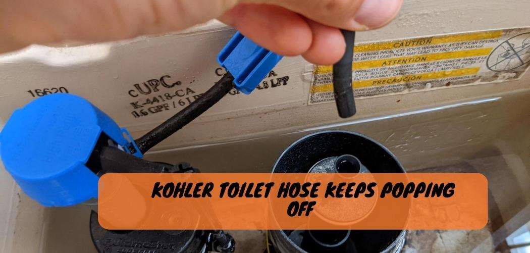 What Size Supply Line for Kohler Toilet? The Toiletlife Guide!