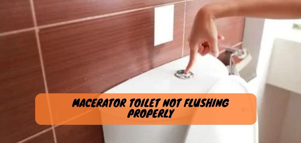 How to Empty a Macerator Toilet? The Easy Guide!