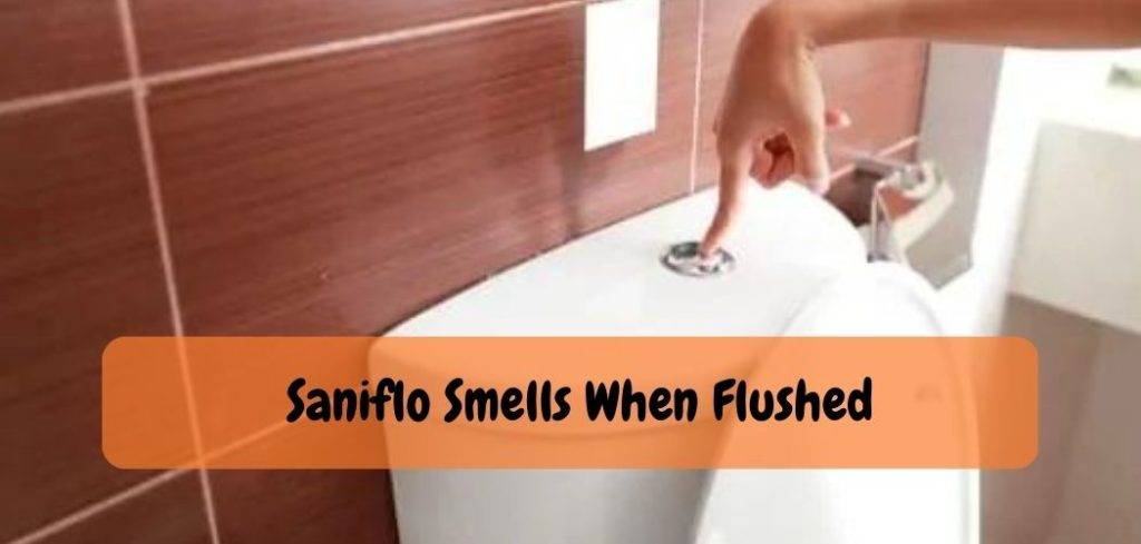 Saniflo Smells When Flushed