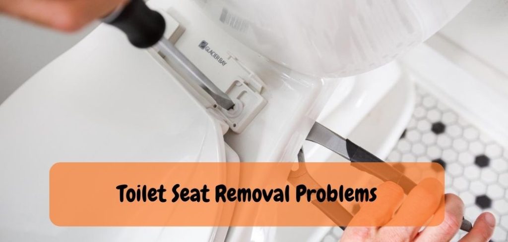 Toilet Seat Removal Problems