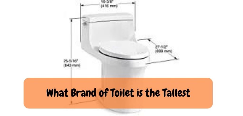 What Brand of Toilet is the Tallest