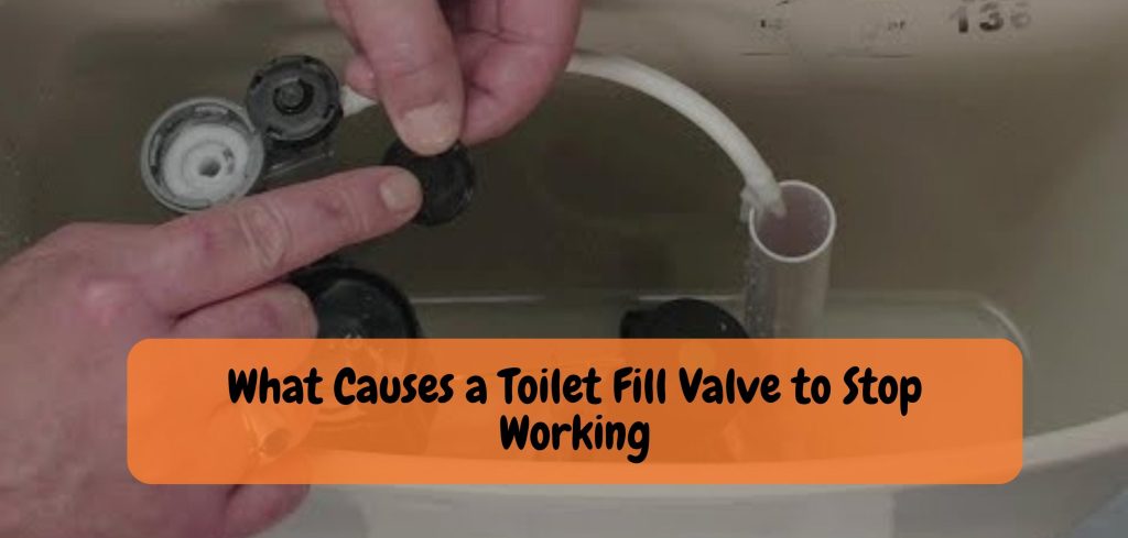 What Causes a Toilet Fill Valve to Stop Working