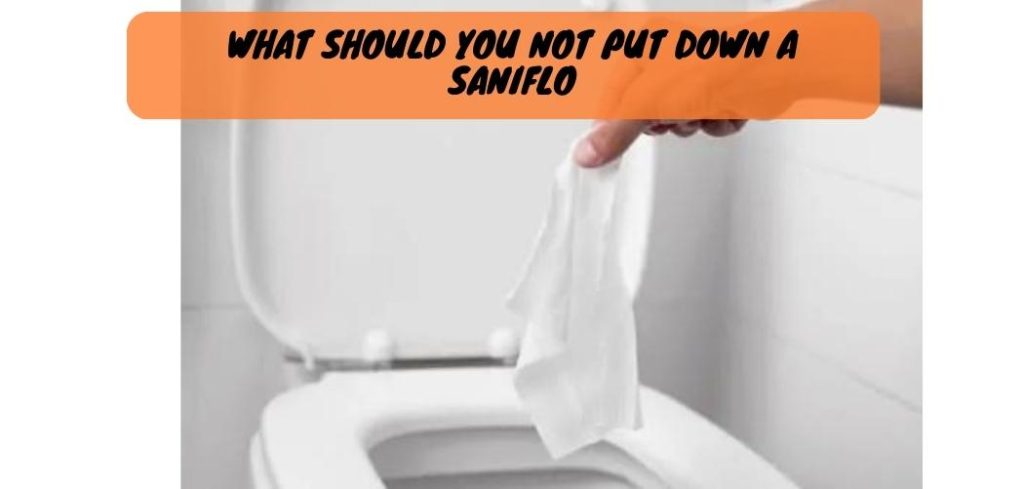 What Should You Not Put down a Saniflo