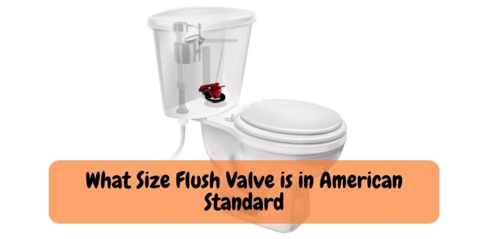 What Size Flush Valve is in American Standard