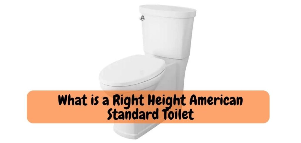 What is a Right Height American Standard Toilet