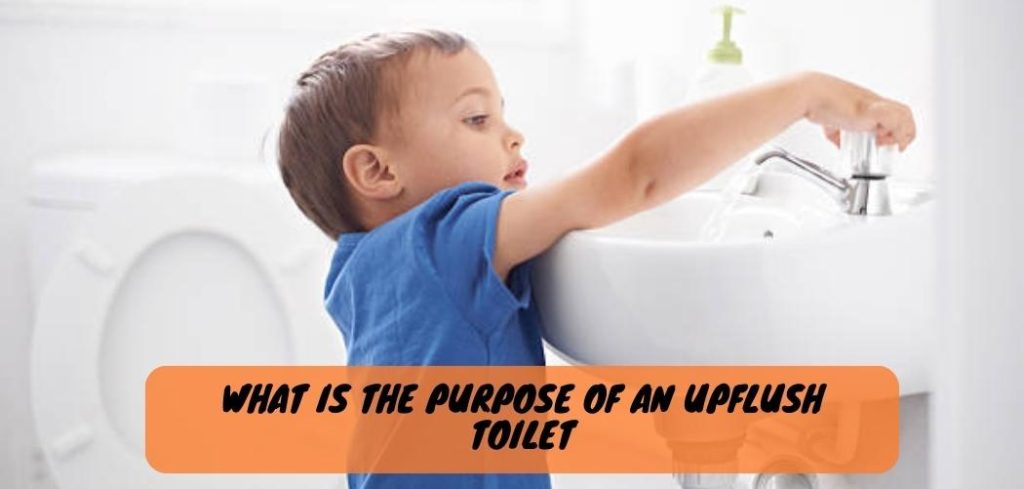 What is the Purpose of an Upflush Toilet