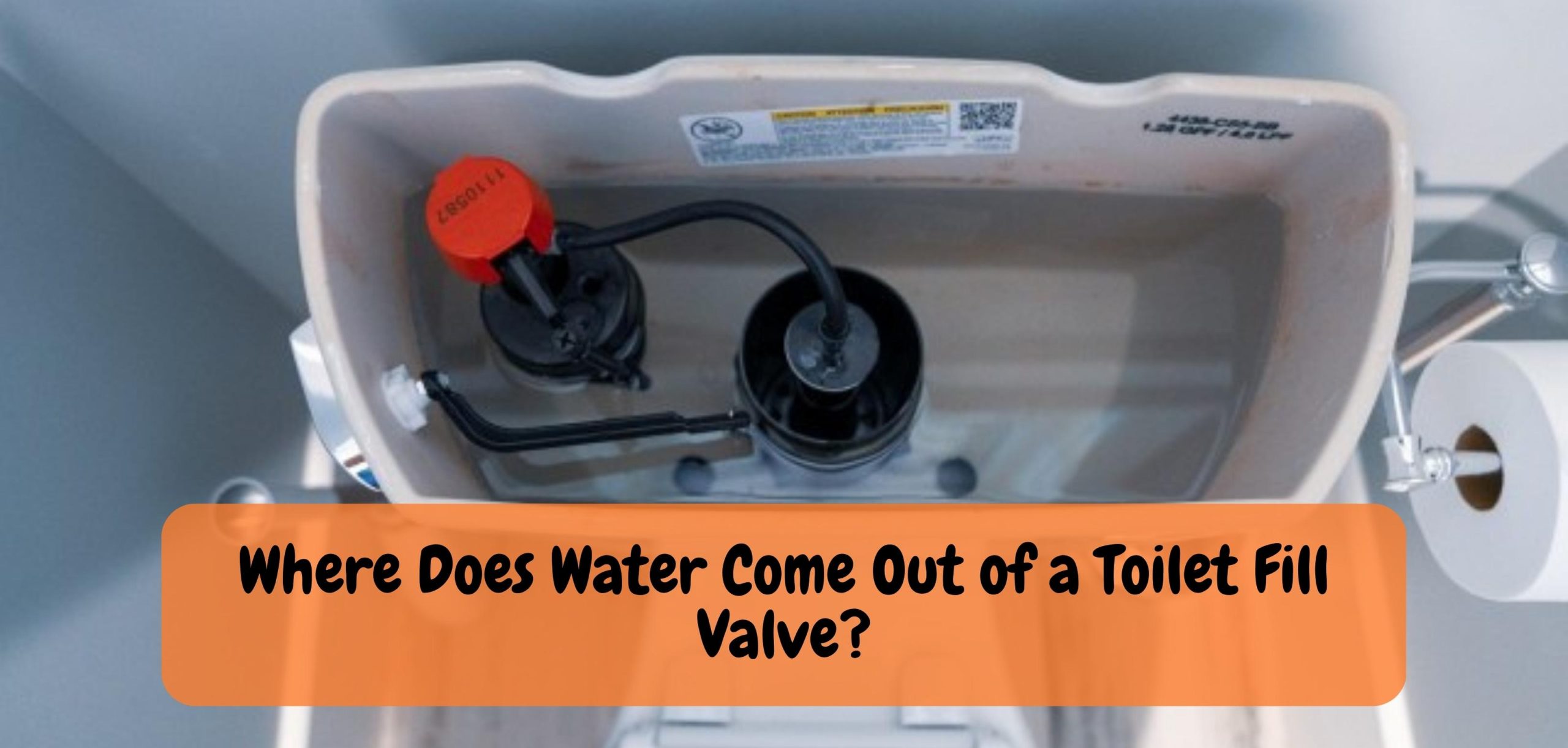 Where Does Water Come Out of a Toilet Fill Valve