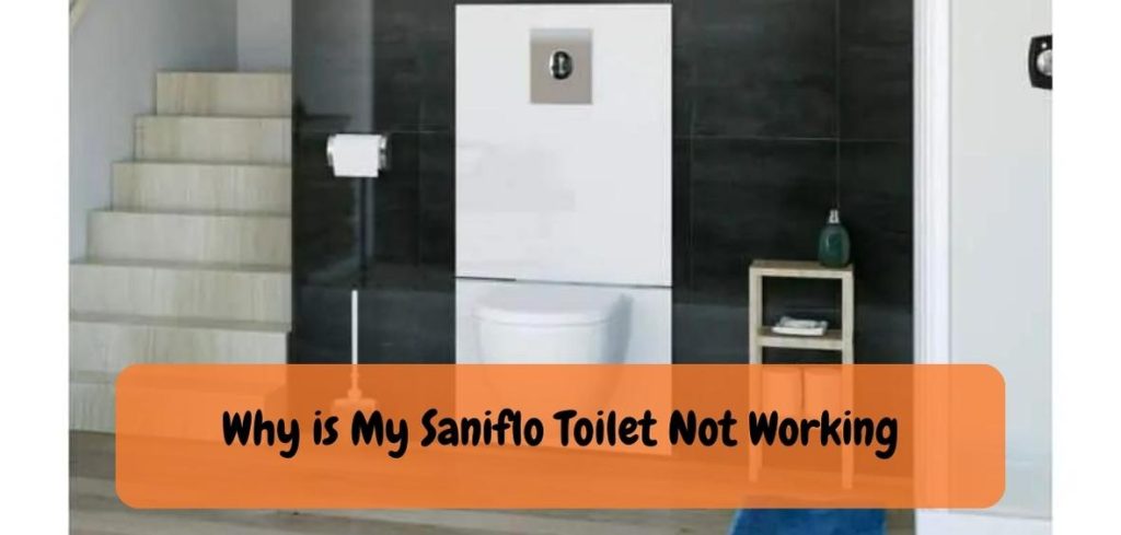 Why is My Saniflo Toilet Not Working