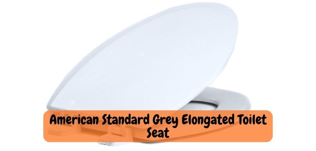 American Standard Grey Elongated Toilet Seat