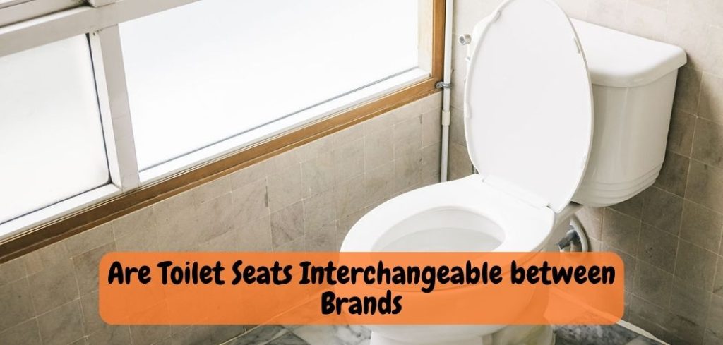 Are Toilet Seats Interchangeable between Brands