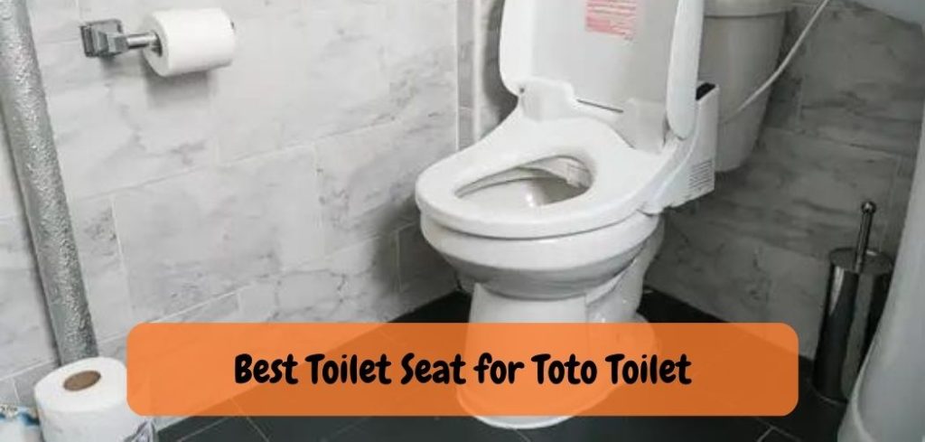 Best Toilet Seat for Toto Toilet