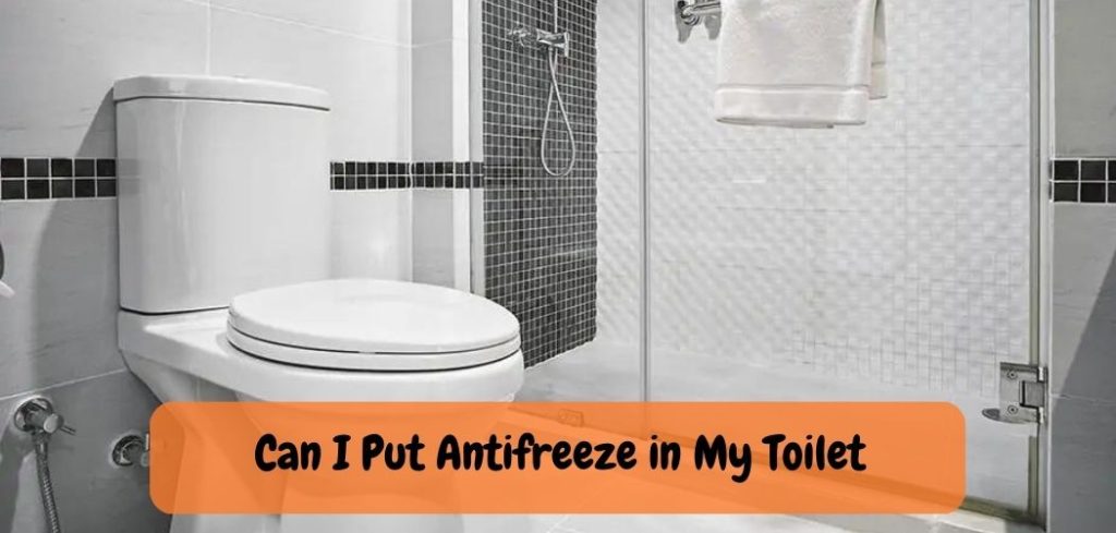 Can I Put Antifreeze in My Toilet