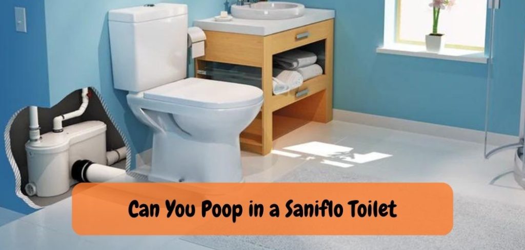 Can You Poop in a Saniflo Toilet 1