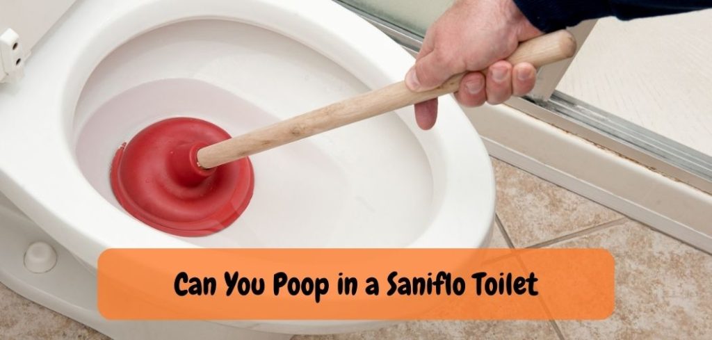 Can You Poop in a Saniflo Toilet