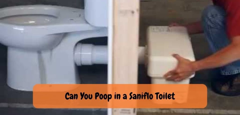 Can You Poop in a Saniflo Toilet 2 1