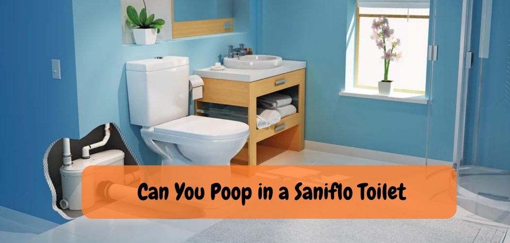 Can You Poop in a Saniflo Toilet 2