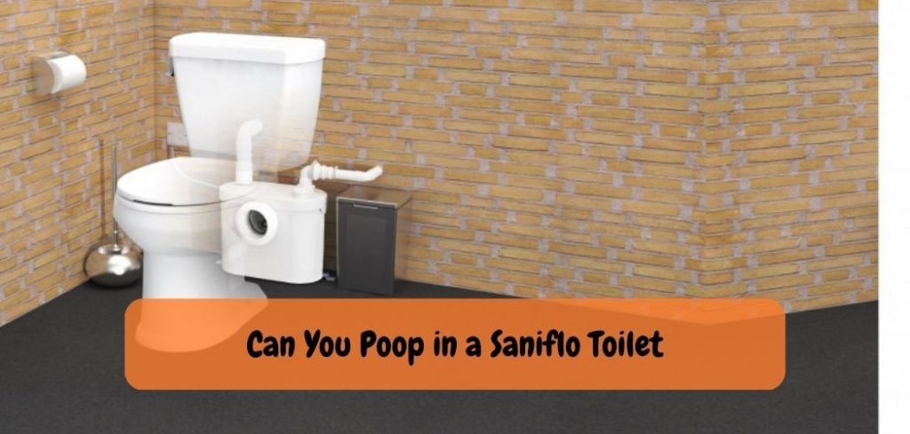 Can You Poop in a Saniflo Toilet 3 1