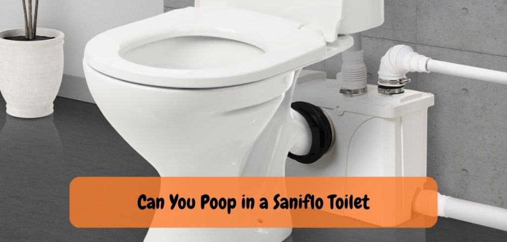 Can You Poop in a Saniflo Toilet 3