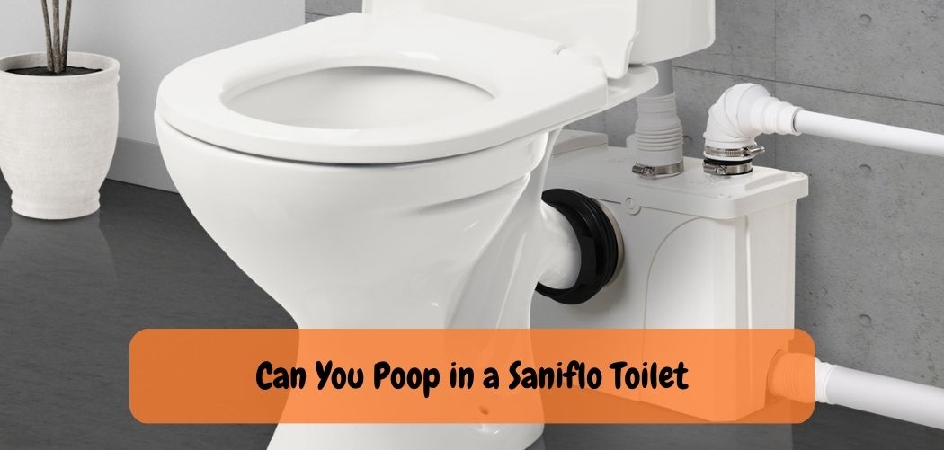 How to Clean Saniflo Toilet Bowl Keeping Your Toilet Clean!