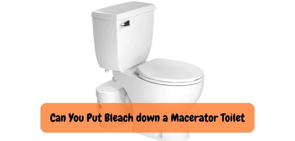 Can You Put Bleach down a Macerator Toilet 1