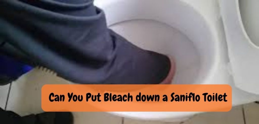 Can You Put Bleach down a Saniflo Toilet 1