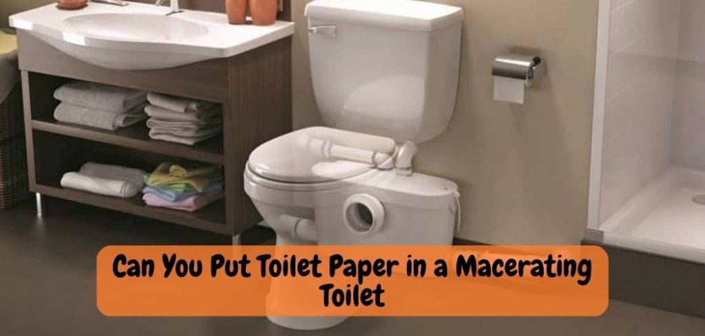 Can You Put Toilet Paper in a Macerating Toilet