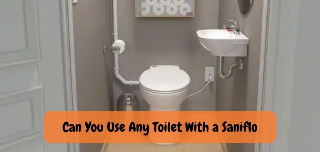 Can You Use Any Toilet With a Saniflo