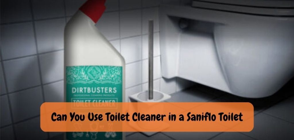 Can You Use Toilet Cleaner in a Saniflo Toilet 1