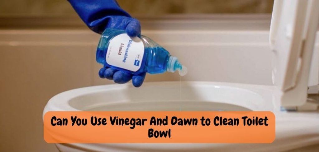 Can You Use Vinegar And Dawn to Clean Toilet Bowl