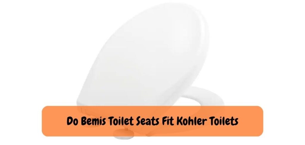 Do Bemis Toilet Seats Fit Kohler Toilets 1