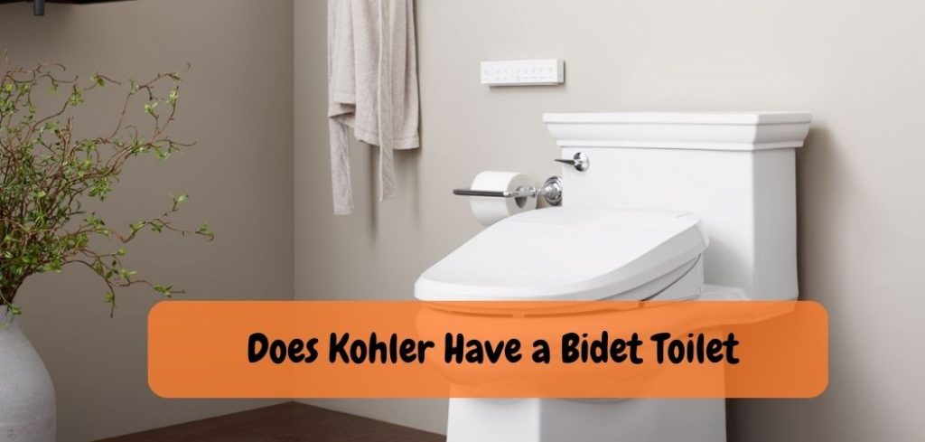 Does Kohler Have a Bidet Toilet