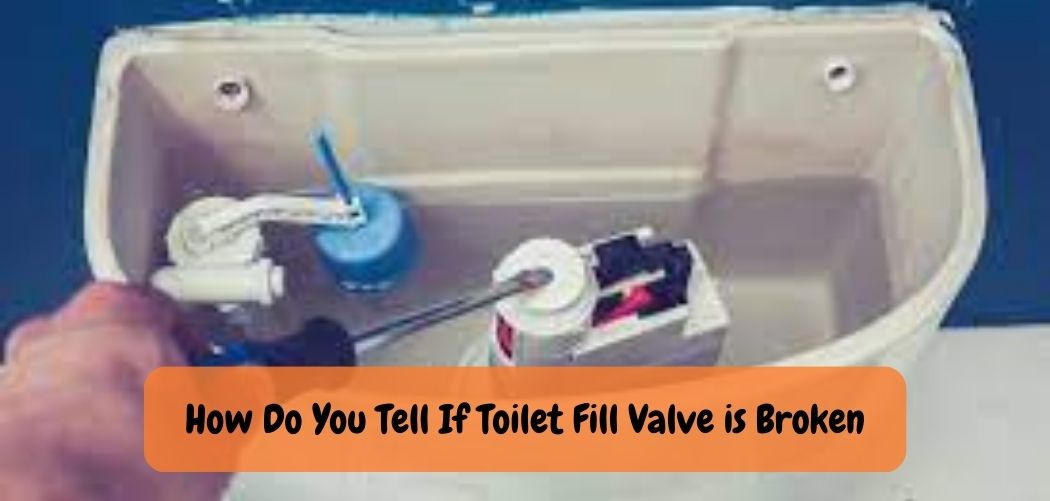 What Does a Toilet Fill Valve Do: A Comprehensive Guide