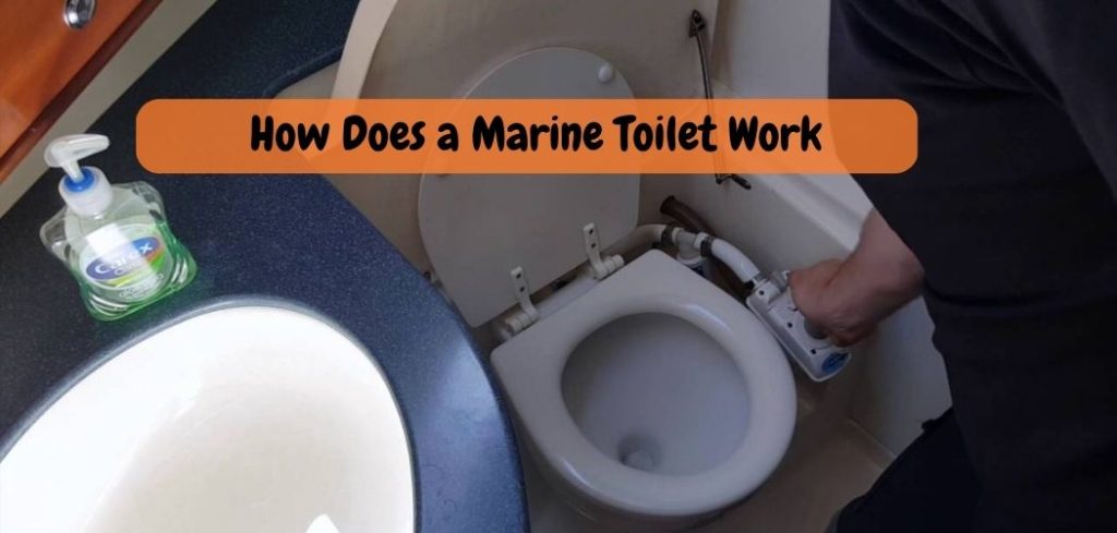 How Does a Marine Toilet Work