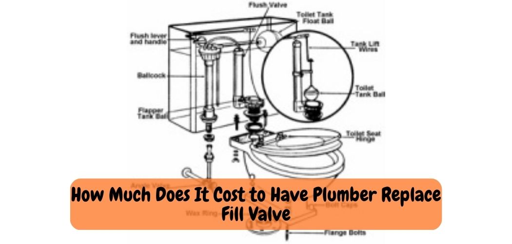 what-does-a-plumber-charge-to-replace-a-toilet-fill-valve-plumb