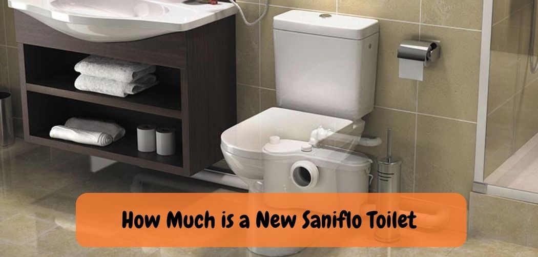 How Much is a New Saniflo Toilet