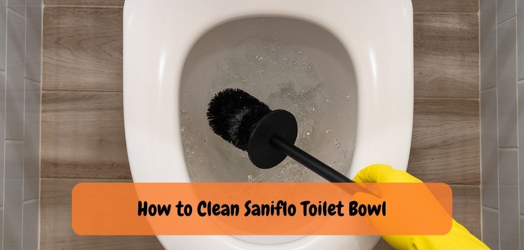How to Clean Saniflo Toilet Bowl 1
