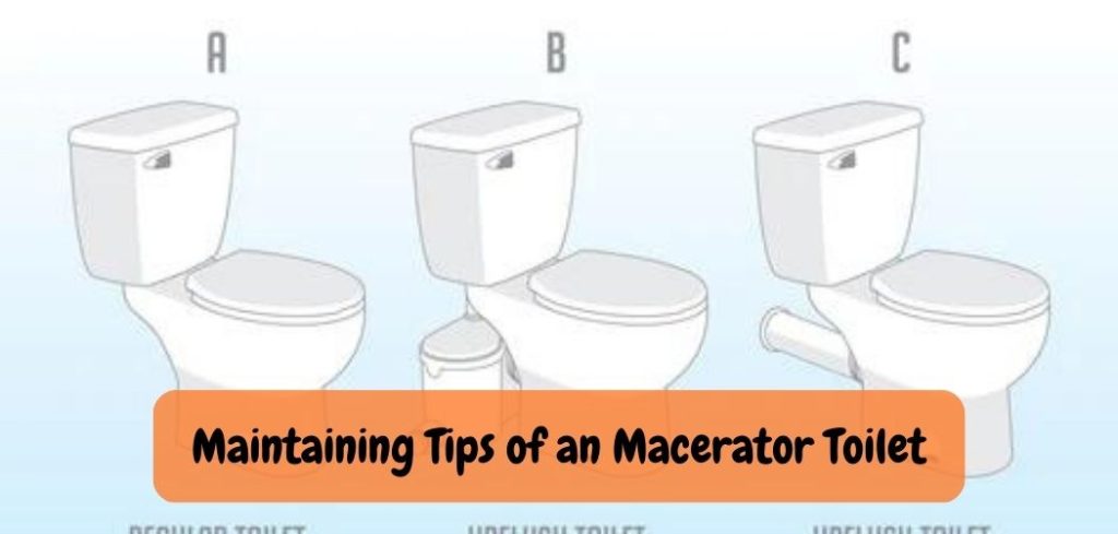 Maintaining Tips of an Macerator Toilet 1