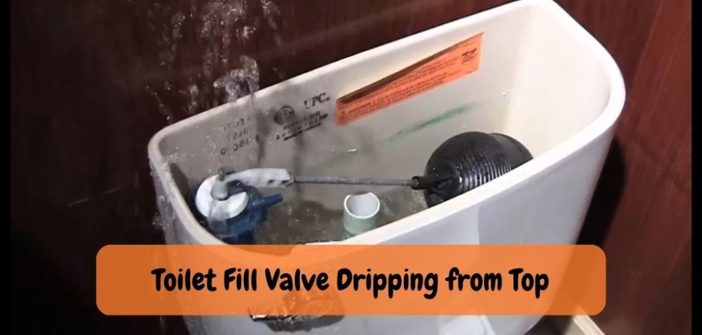 Toilet Fill Valve Dripping from Top