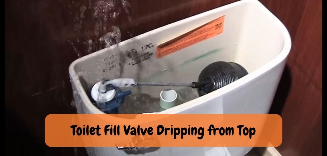 Why Toilet Fill Valve Leaking Discovering the Reasons!