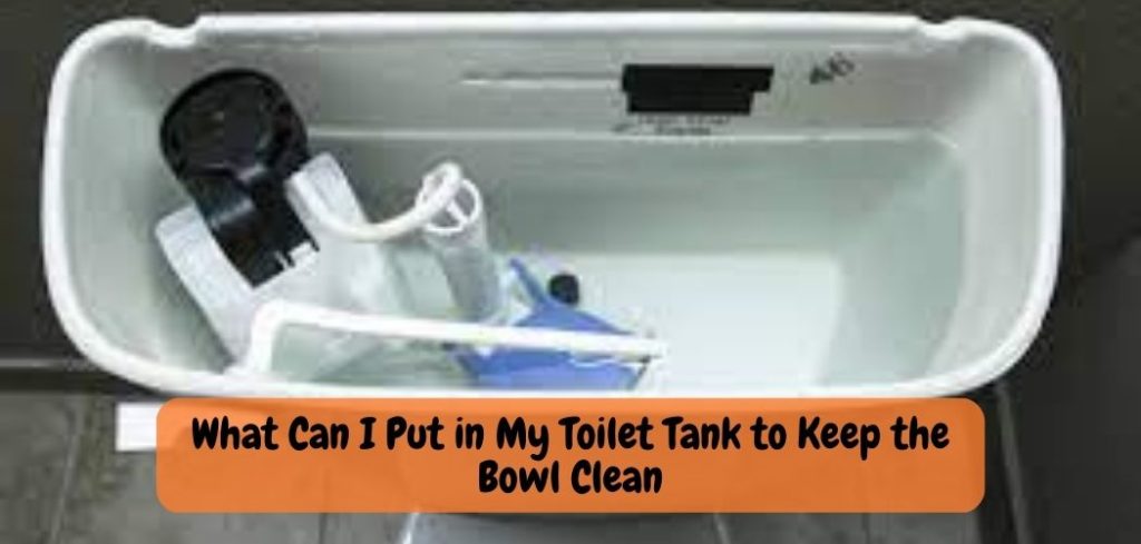 What Can I Put in My Toilet Tank to Keep the Bowl Clean